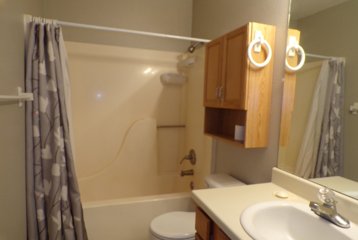 Bathroom with tub, shower, and vanity.